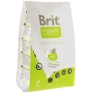 Корм сухой "Brit Care" для котят, беременных и кормящих кошек, цыпленок с рисом, 400 г 20 мг Вес: 400 г инфо 4591b.